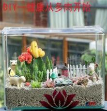上海清繪園藝養護服務 以專業匠心，守護城市綠意之美