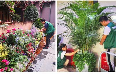 武漢辦公室植物租賃養護指南 選擇綠叢園林的3大理由